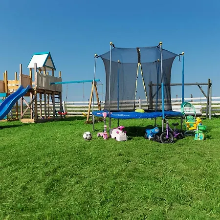 Iwonki * Władysławowo